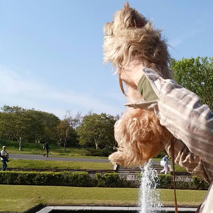 55ea3f85 38b2 4775 9c30 64ce87728ed7