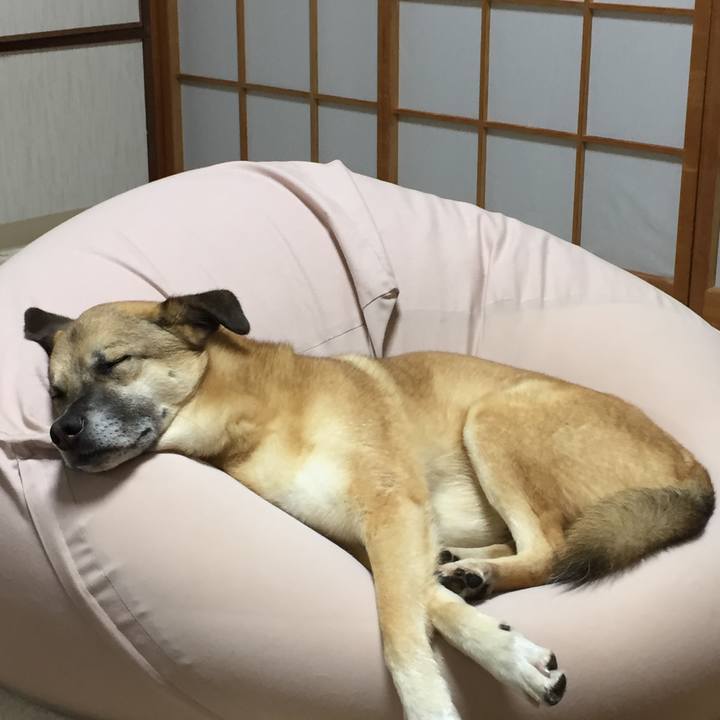 55ea85f8 a51e 4e86 97e7 6e903403ac0f