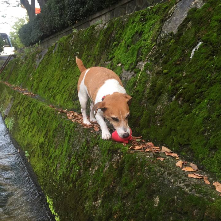 55eabbf2 5d33 45fd b065 641946f4bed5