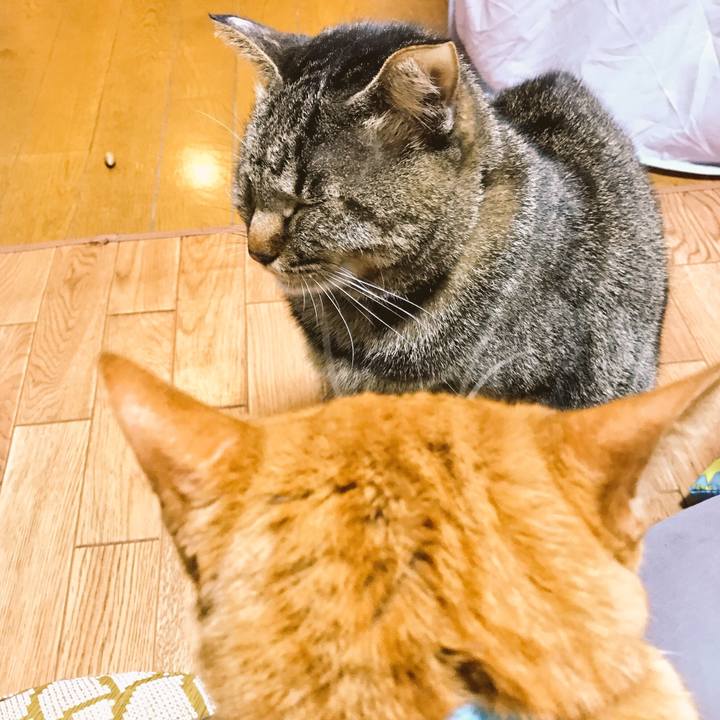 55eb592b 7d97 444b b2df 7ccbebe194f7