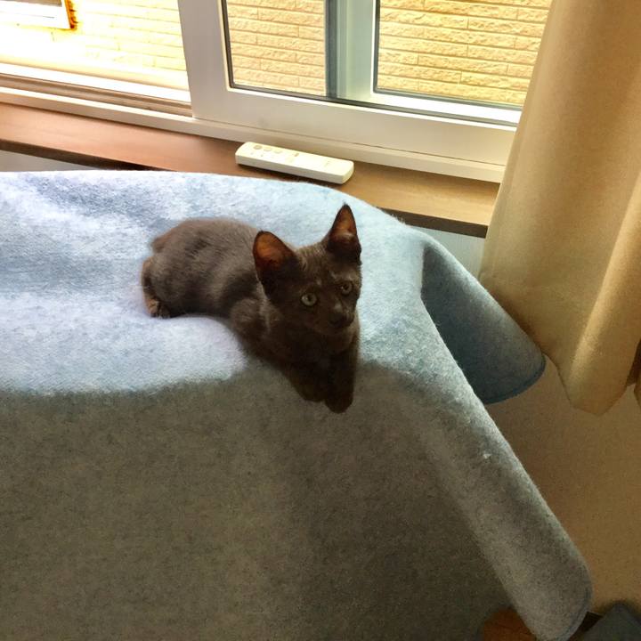 55ebe742 b2d4 44b1 b14c ed1d36810a46