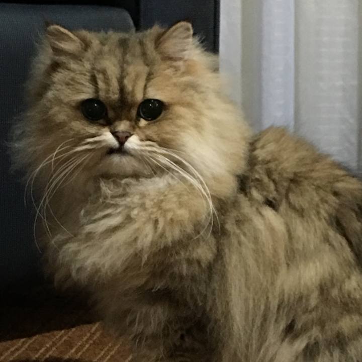 55ec3c45 e402 49a7 9ce3 fdd54ffe5a7a