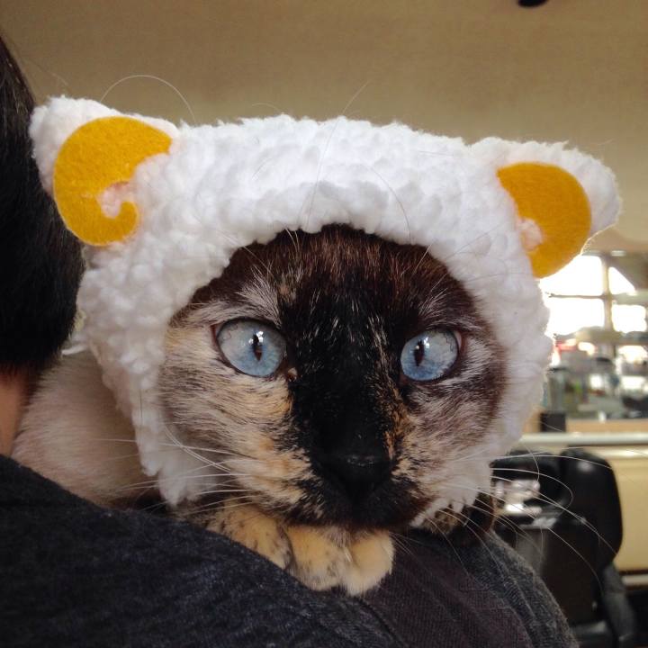 55ec4058 ea67 4a5e aac4 58cfad3ed654