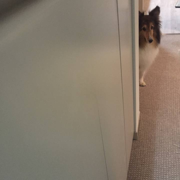 55ec9d1e f6b8 4f1a 9a10 89eaf427e432