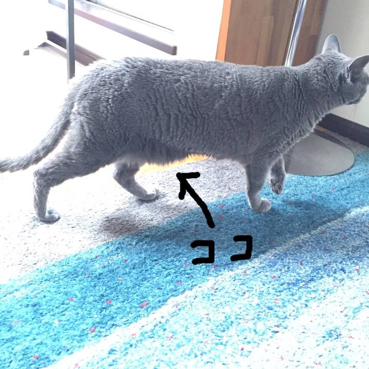 55ed0fad 07dc 4d76 87a6 08bbd4d0dca5