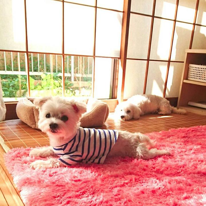 55ed365e c197 4feb a132 44628665506c