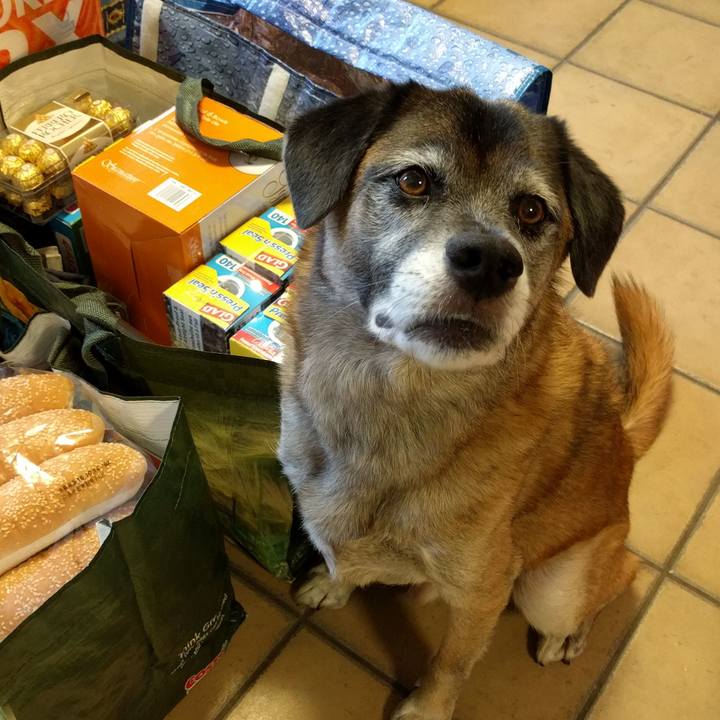 55ed7d94 39fe 4e4b 9313 e46ed606e74e