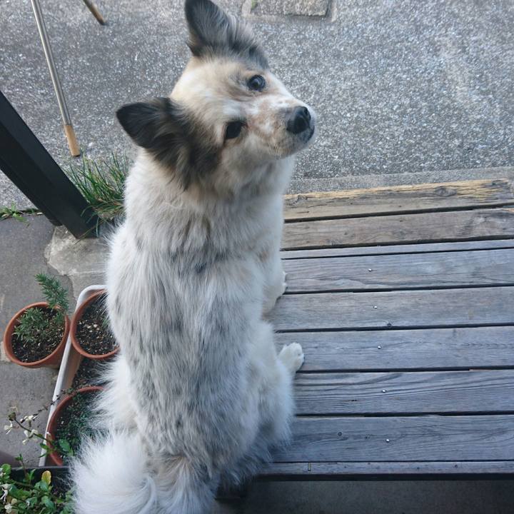 55edbd81 b9d2 4ef2 9c43 d8ada5e1c57b