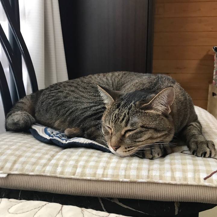 55ee1256 228d 4666 b2fb 4f2adac0dce9