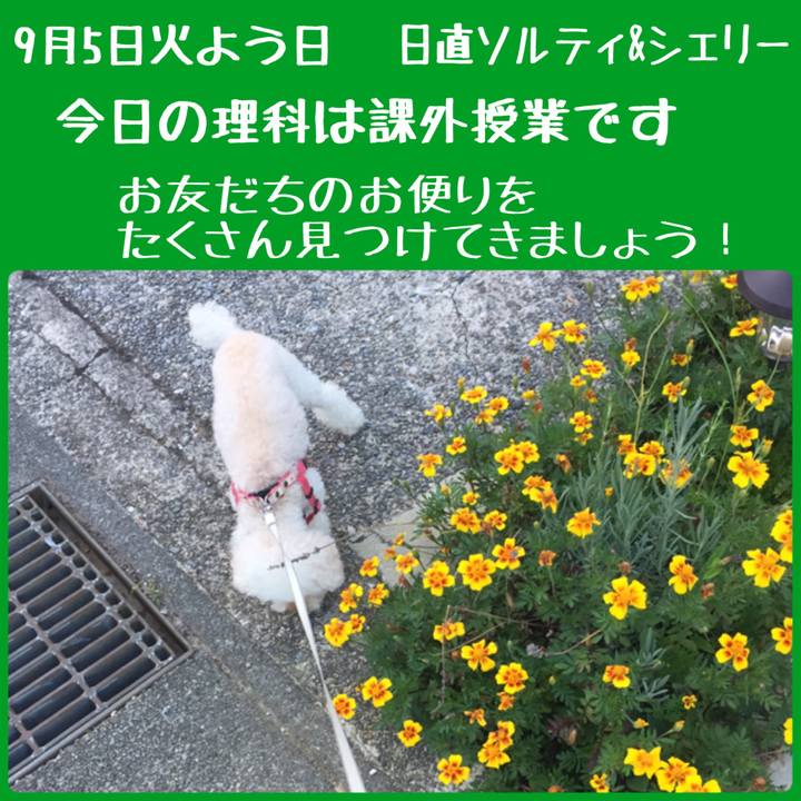 55ee2a8b 59aa 4eae af7a db48d55d1afc