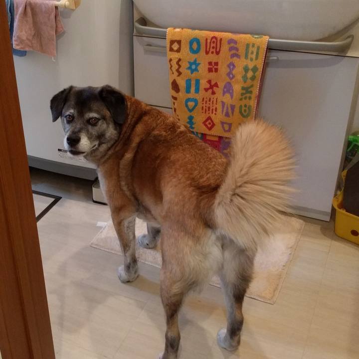 55ee6c51 f1b5 4efc a739 0ff2ac008b97