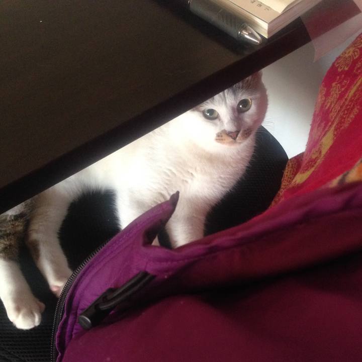 55eeb909 c268 4f7f bc8e 60b61dd34cb5