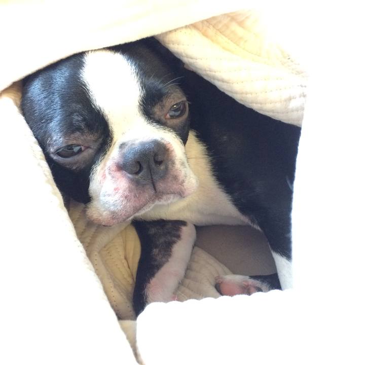 55ef1c70 664f 400a 8352 d2e3cb6ec8fa