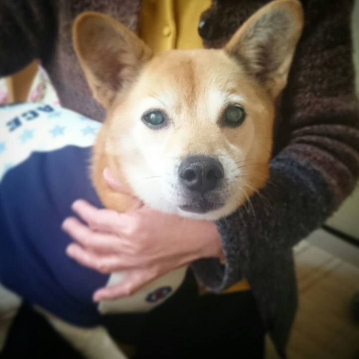 55ef1c7d 3cab 43b3 a5f6 7d651ebfdd5a