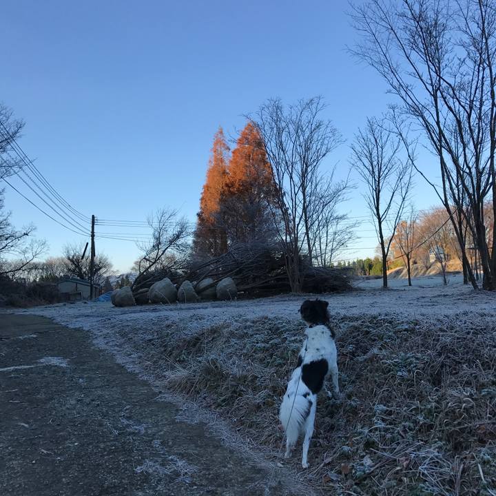 55ef6126 3219 4c2d b6ee 3efd7576f3aa