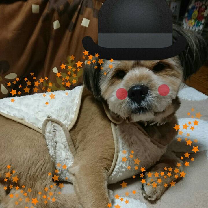 55ef9107 16bf 4d1e b12a 988384101195