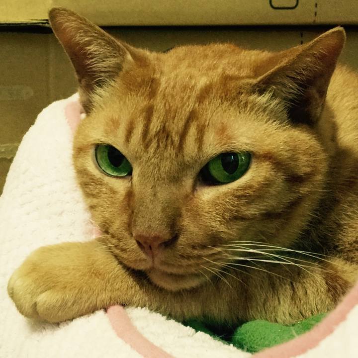 55f01f22 aa40 401a 8527 046117cdf2d6