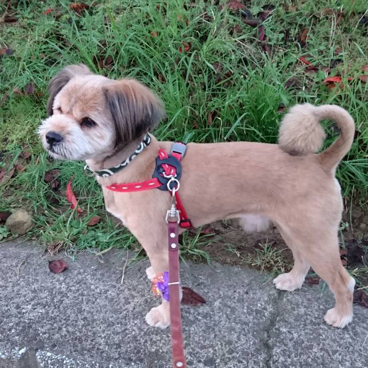 55f0d7e2 ba91 40c0 9088 da2b84f0b24a