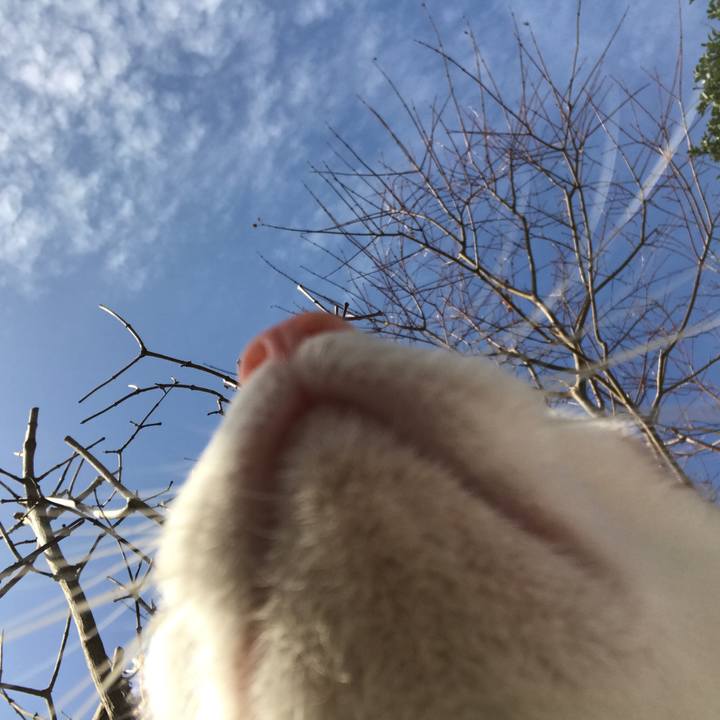 55f1bd58 1bba 4d22 be80 7fb6c1e7d33c