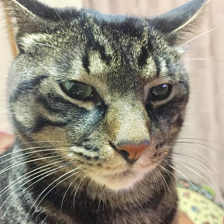 55f1f424 0907 4ab0 ab7f 00cecdc6b4f0