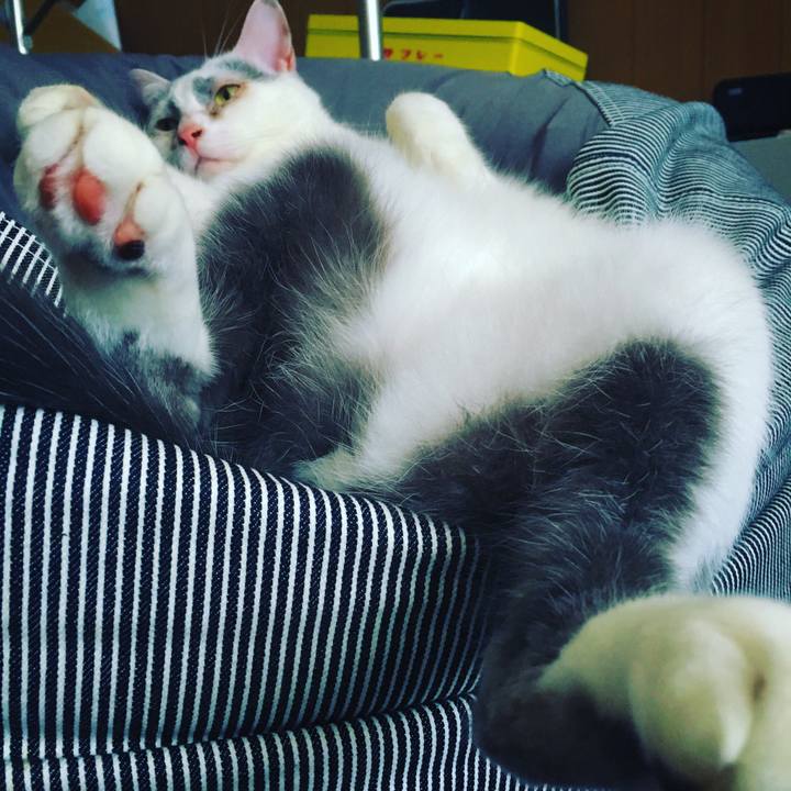 55f207ff da9f 42c7 b7a1 53ce52b93e78