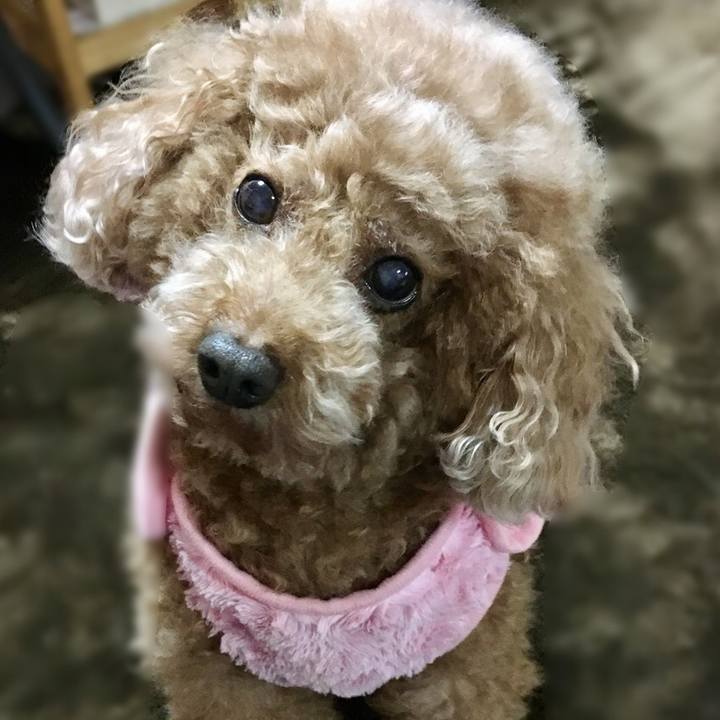 55f27107 c388 4687 b81f 8b52443b22b1