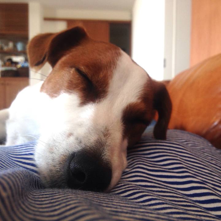 55f371d2 67f4 45d4 8699 68ca1e3945f1