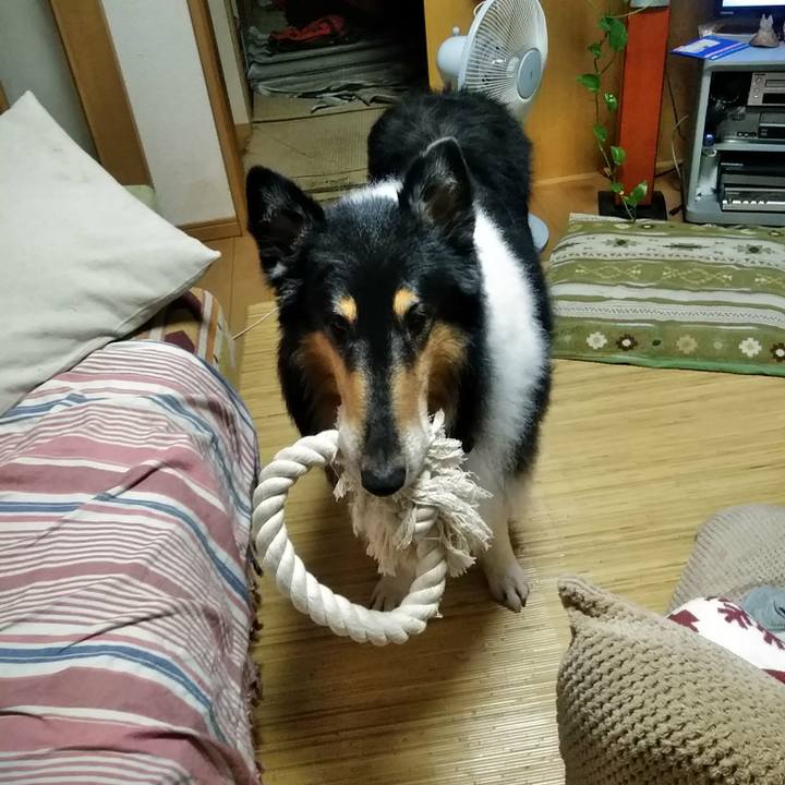 55f3c50a 2893 45de a434 01a2440c488b