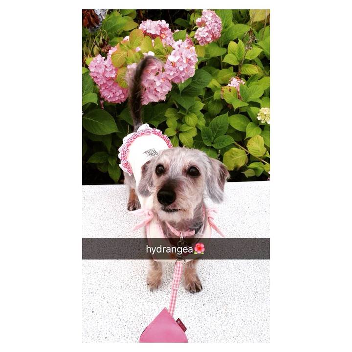 55f426dc f451 43f0 a601 4ef79438401e