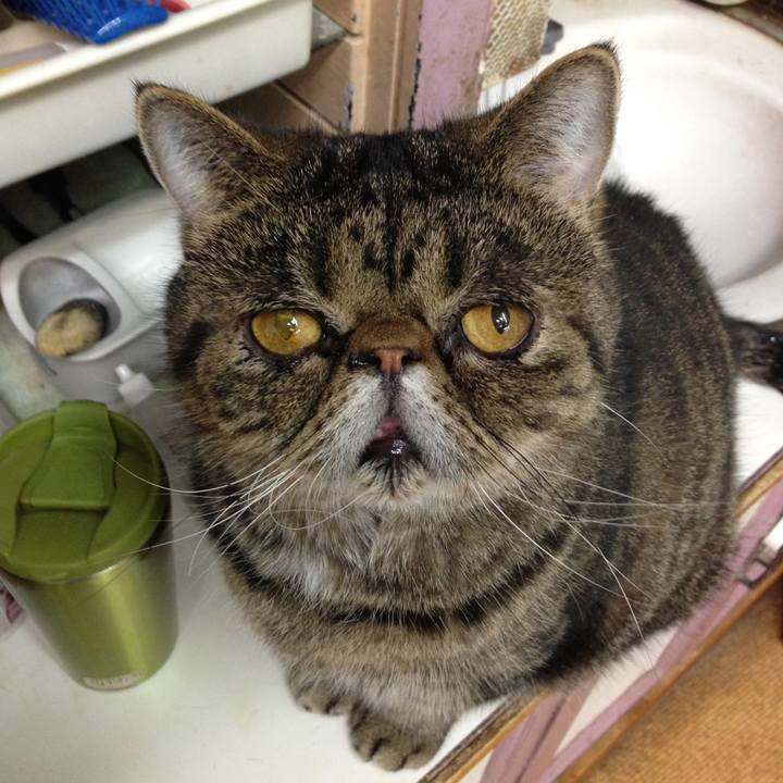 55f49f3a 32cf 4e32 86d3 61d7f3dc2bd6