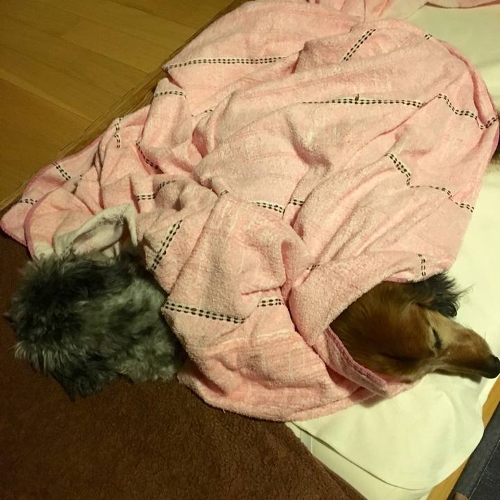 55f598f5 5d4d 44ec 9452 4b4fd3ca8159