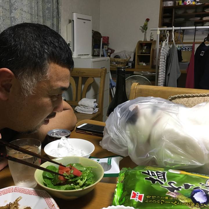 55f5f46a 6495 4151 9999 982be638aa3e