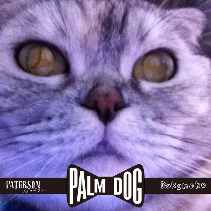 55f61f26 daf6 4627 99c2 d1c3160043c9