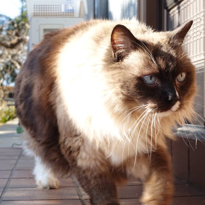 55f67109 5d20 4a7e b002 67b7a2837f5a