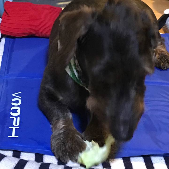 55f6c9f4 5328 45e9 ae87 80dfebd2bf02