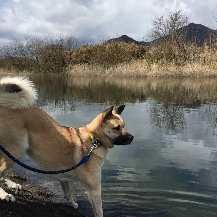 55f6dc5b 1ea9 4eaa a49d 126b2ad3e61d