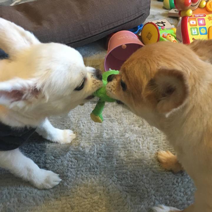 55f6e3d9 1743 49f0 8112 651e01275e7d