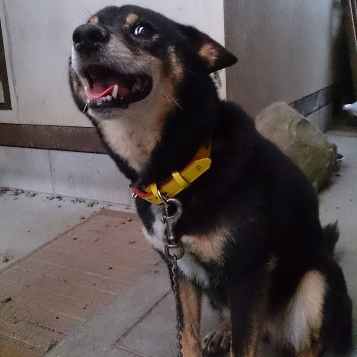 55f6f3cf f016 476c 8325 ef3e91256512