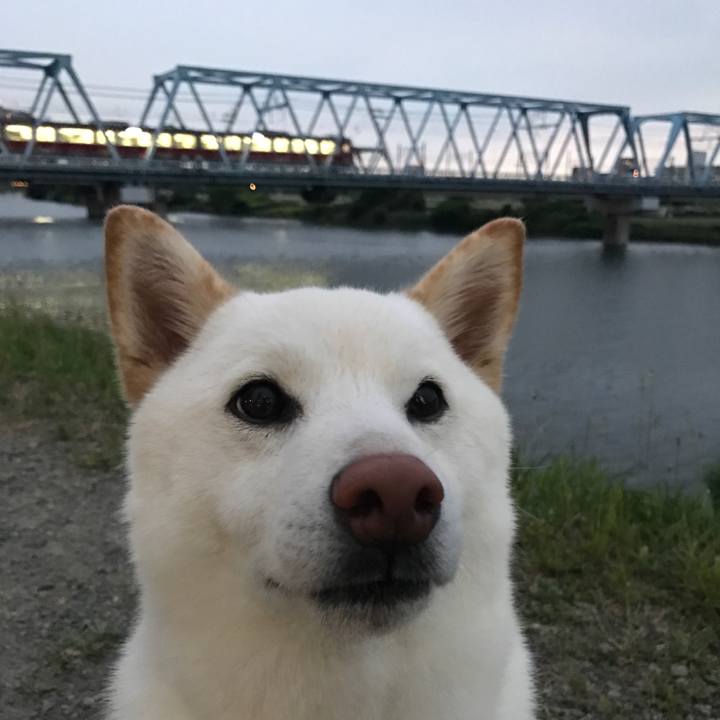 55f70833 f322 4509 aff7 2223b37b9eca