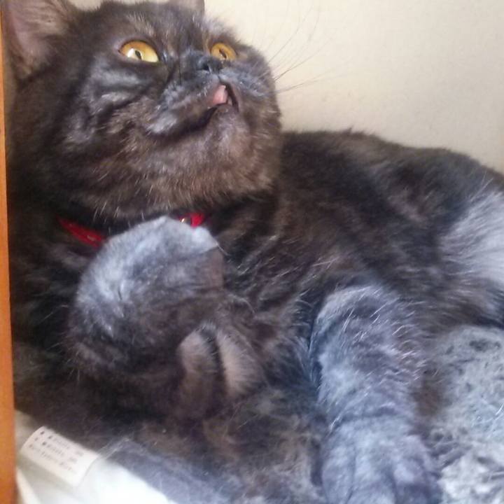 55f79dcb 2049 48b2 862e f07f910b04ea