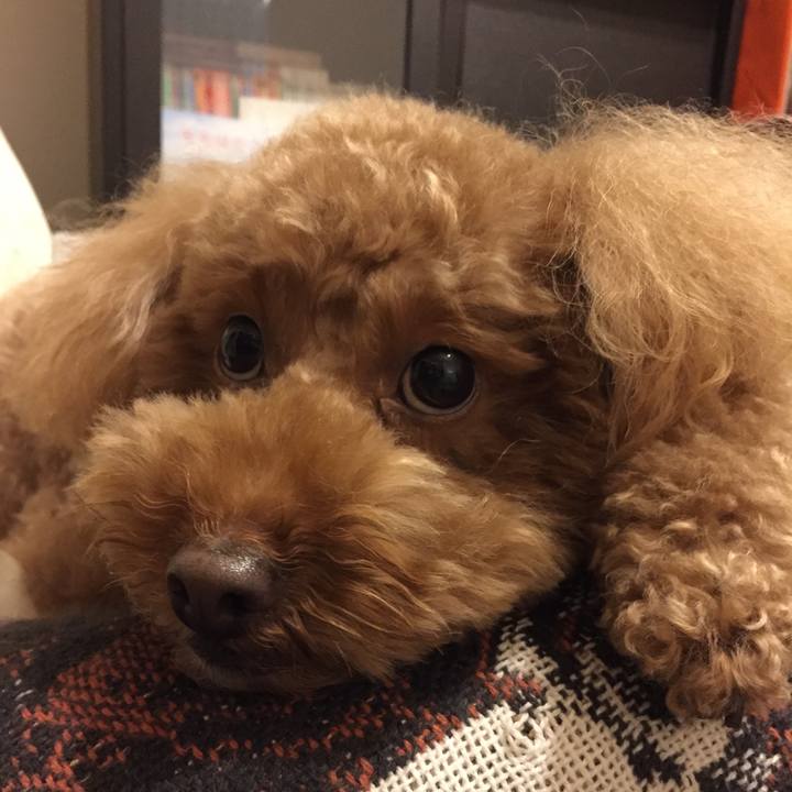 55f7fa31 f31d 4f5d 8ce5 c6d4ddfa6471