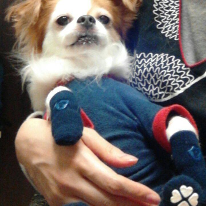 55f82d65 19fd 4b78 87a0 233b7f3fd7bf