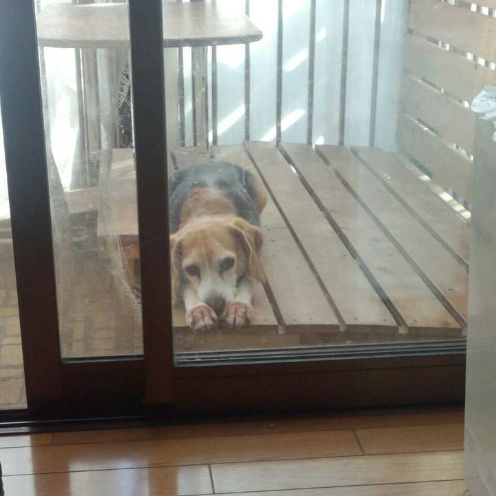 55f865fc 5d89 4c49 a428 416914e7866c