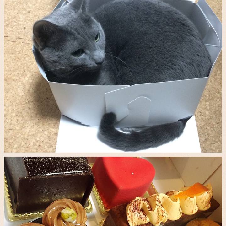 55f8b1fe f346 4cc5 8ea7 db20d302d6c7