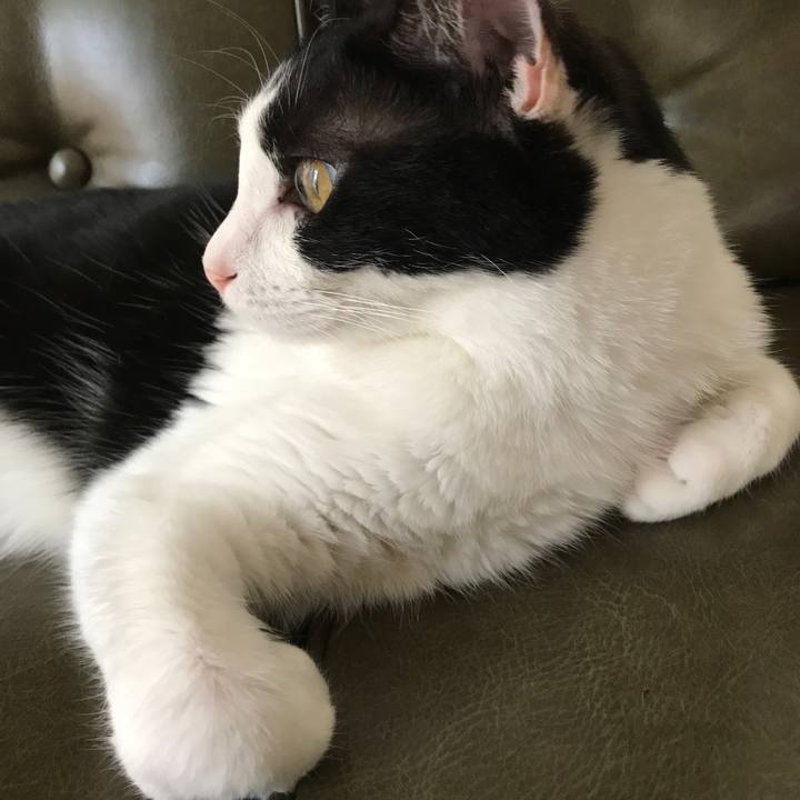 55f92ccc 9000 4734 a602 f68f344f471d