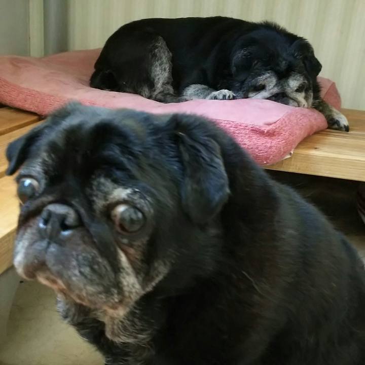 55f9d038 02ab 407c ae0b 5ae678cc6948