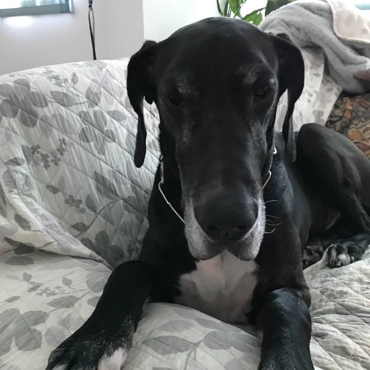 55fa9100 6786 4993 8570 013e08cf5a27