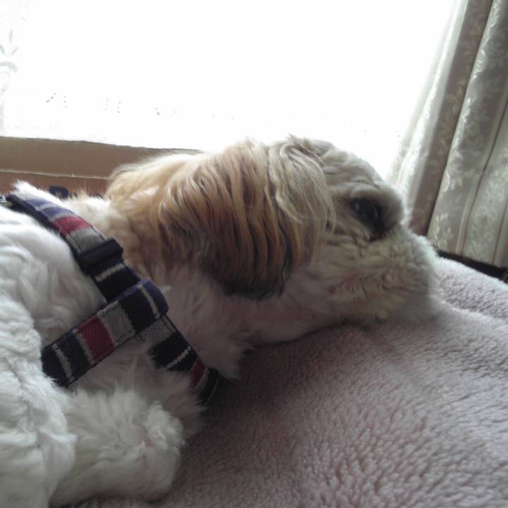 55fb325b 0a30 41b8 8073 3d89cb5a83fa