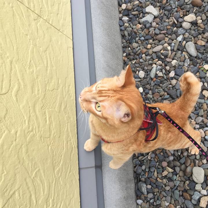 55fb4a13 5183 4c68 8eb1 545ea29bf3c1