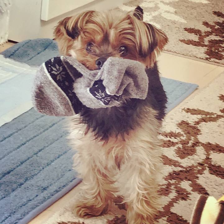 55fb6829 d1ed 4c25 8036 700fbf2f2d42